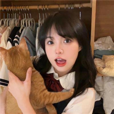奇怪的猫咪